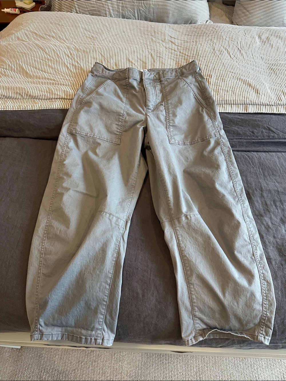 GAP Light Gray Barrel Pants